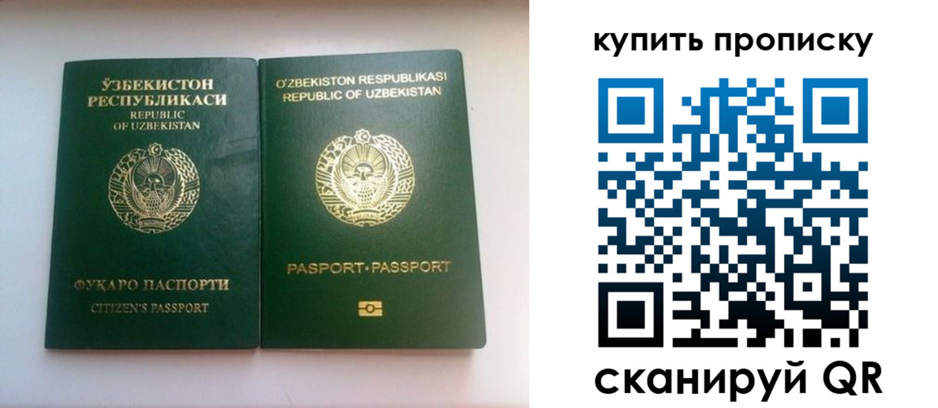 прописка в квартире в Саратовской области